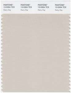 Pantone Smart 13-5304 TCX Color Swatch Card | Rainy Day 