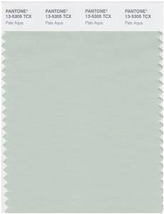 Pantone Smart 13-5305 TCX Color Swatch Card | Pale Aqua 