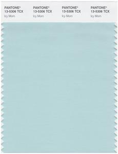 Pantone Smart 13-5306 TCX Color Swatch Card | Icy Morn 