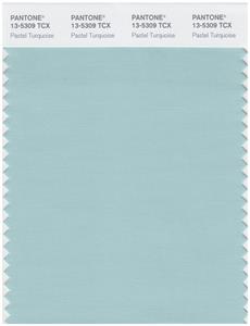 Pantone Smart 13-5309 TCX Color Swatch Card | Pastel Turquoise 