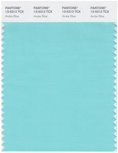 Pantone Smart 13-5313 TCX Color Swatch Card | Aruba Blue 