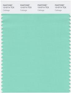 Pantone Smart 13-5714 TCX Color Swatch Card | Cabbage 