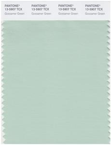 Pantone Smart 13-5907 TCX Color Swatch Card | Gossamer Green 