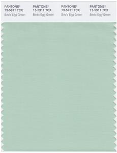 Pantone Smart 13-5911 TCX Color Swatch Card | Bird's Egg Green 