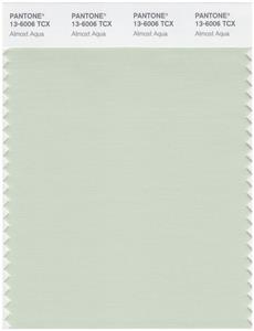 Pantone Smart 13-6006 TCX Color Swatch Card | Almost Aqua 