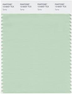 Pantone Smart 13-6007 TCX Color Swatch Card | Spray 