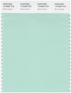 Pantone Smart 13-6009 TCX Color Swatch Card | Brook Green 