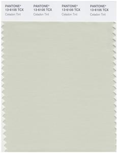 Pantone Smart 13-6105 TCX Color Swatch Card | Celadon Tint 