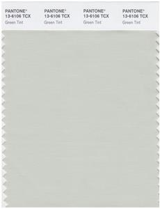 Pantone Smart 13-6106 TCX Color Swatch Card | Green Tint 