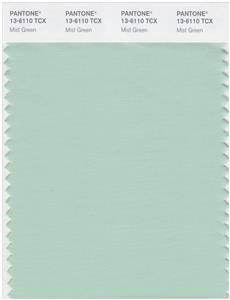 Pantone Smart 13-6110 TCX Color Swatch Card | Mist Green 