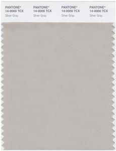 Pantone Smart 14-0000 TCX Color Swatch Card | Silver Gray 