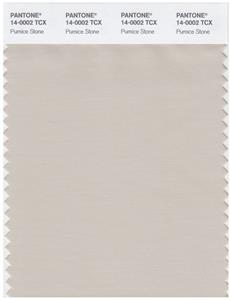 Pantone Smart 14-0002 TCX Color Swatch Card | Pumice Stone 