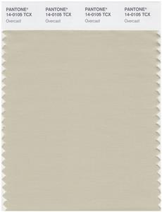 Pantone Smart 14-0105 TCX Color Swatch Card | Overcast 