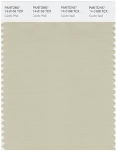 Pantone Smart 14-0108 TCX Color Swatch Card | Castle Wall 