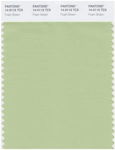 Pantone Smart 14-0115 TCX Color Swatch Card | Foam Green 