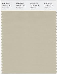 Pantone Smart 14-0210 TCX Color Swatch Card | Tidal Foam 