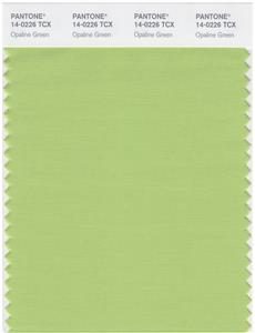 Pantone Smart 14-0226 TCX Color Swatch Card | Opaline Green 