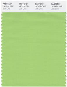 Pantone Smart 14-0232 TCX Color Swatch Card | Jade Lime 