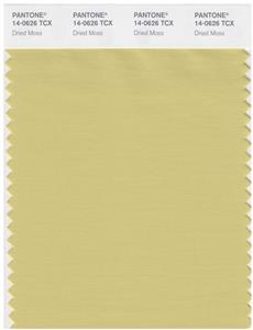 Pantone Smart 14-0626 TCX Color Swatch Card | Dried Moss 