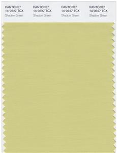 Pantone Smart 14-0627 TCX Color Swatch Card | Shadow Green 