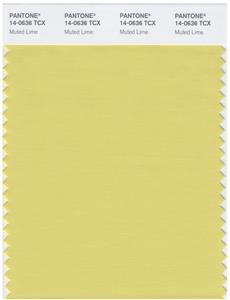 Pantone Smart 14-0636 TCX Color Swatch Card | Muted Lime 