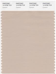 Pantone Smart 14-0708 TCX Color Swatch Card | Cement 