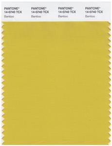 Pantone Smart 14-0740 TCX Color Swatch Card | Bamboo 