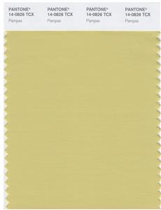 Pantone Smart 14-0826 TCX Color Swatch Card | Pampas 