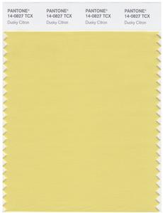 Pantone Smart 14-0827 TCX Color Swatch Card | Dusky Citron 