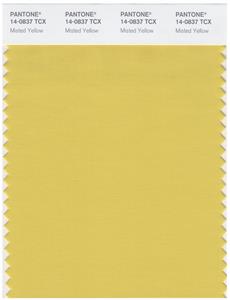 Pantone Smart 14-0837 TCX Color Swatch Card | Misted Yellow 