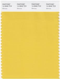 Pantone Smart 14-0848 TCX Color Swatch Card | Mimosa 