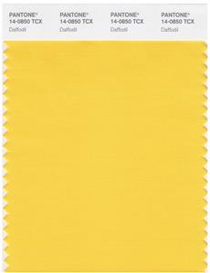 Pantone Smart 14-0850 TCX Color Swatch Card | Daffodil 