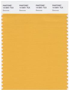 Pantone Smart 14-0941 TCX Color Swatch Card | Beeswax 