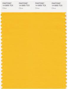 Pantone Smart 14-0955 TCX Color Swatch Card | Citrus 