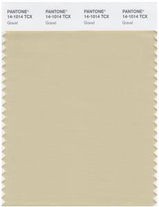 Pantone Smart 14-1014 TCX Color Swatch Card | Gravel 