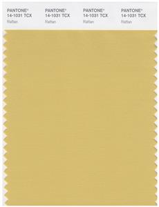 Pantone Smart 14-1031 TCX Color Swatch Card | Rattan 