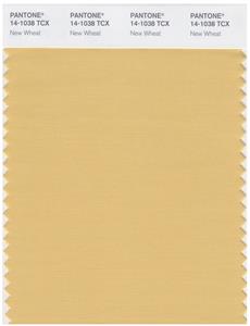 Pantone Smart 14-1038 TCX Color Swatch Card | New Wheat 