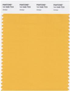 Pantone Smart 14-1045 TCX Color Swatch Card | Amber 