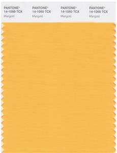 Pantone Smart 14-1050 TCX Color Swatch Card | Marigold 