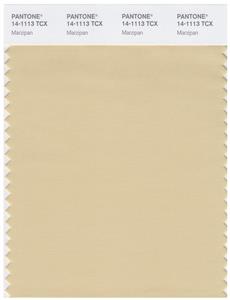 Pantone Smart 14-1113 TCX Color Swatch Card | Marzipan 