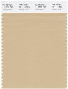 Pantone Smart 14-1116 TCX Color Swatch Card | Almond Buff 