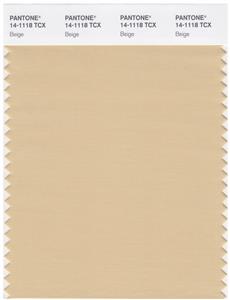 Pantone Smart 14-1118 TCX Color Swatch Card | Beige 