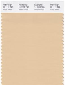 Pantone Smart 14-1119 TCX Color Swatch Card | Winter Wheat 