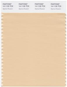 Pantone Smart 14-1120 TCX Color Swatch Card | Apricot Illusion 