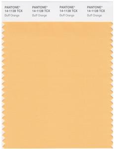 Pantone Smart 14-1128 TCX Color Swatch Card | Buff Orange 