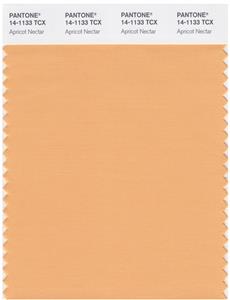 Pantone Smart 14-1133 TCX Color Swatch Card | Apricot Nectar 