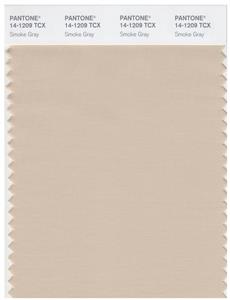 Pantone Smart 14-1209 TCX Color Swatch Card | Smoke Gray 