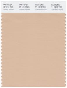 Pantone Smart 14-1213 TCX Color Swatch Card | Toasted Almond 