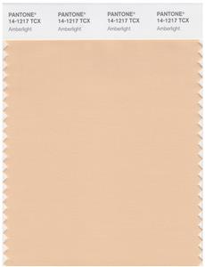 Pantone Smart 14-1217 TCX Color Swatch Card | Amberlight 