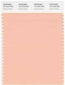 Pantone Smart 14-1219 TCX Color Swatch Card | Peach Parfait 